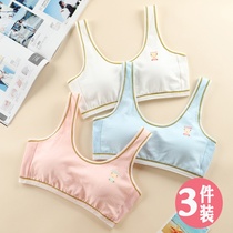 Junior high school underwear young womens underwear 14 years old Child hair nursery school Pupils cute vest-style girl Smear Pure Cotton