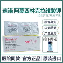 Snack Cat Spine Cough Pet Cough Skin Disease Amosilin Kravite Anti-inflammatory tablet