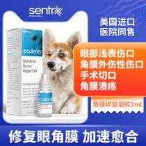 US sentrx cornea repair gel for pet corneal ulcer surgical incision eye trauma cat and dog common use
