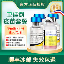 American imported Pfizer Jiaxian Dog Weijia 8 Vaccine Puppy Couple 8 Couple Rabies Prevention Needle Universal