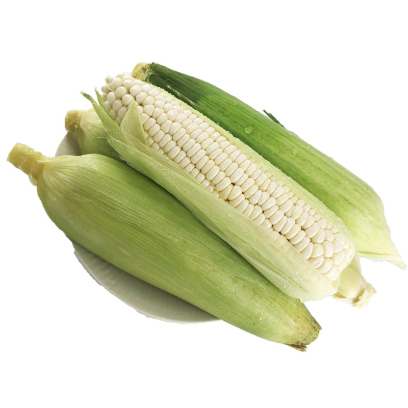 山东现摘白糯玉米5斤