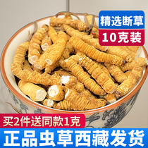 (Tibet delivery) Cordyceps sinensis cut grass head stop Cordyceps flagship store dry goods for self-use