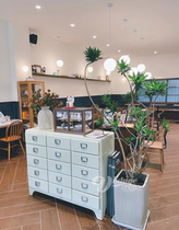 House Xiaosheng DULTON 15-drawer cabinet industrial style storage cabinet multi-column metal retro sideboard 100-165