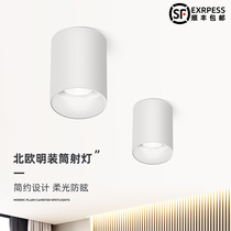 Surface mounted downlight Round Nordic spot light Spot light led ceiling light Shop commercial cob single light Living room ceiling ceiling