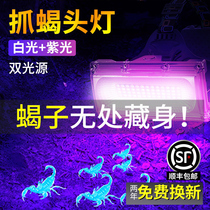 Dual-use head-mounted strong light scorpion lamp rechargeable outdoor special capture photo Scorpion super bright purple light power headlamp