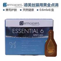 510 Cat Paradise Kitty Gold Spot External Drops for Pets A Box of 4