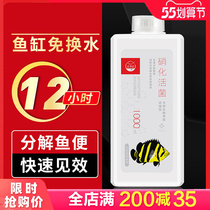 Old Fishing Artisan Fish Tank Nitrochemical Water Purifying Water Fish Farming Supplies Water Group Digesting Bacteria With Live Bacteria Water Quality Stabilizers