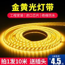 LED light strip golden light 2835 double-row sticker yellow light strip hotel KTV outdoor waterproof golden yellow light