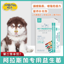 Alaska Dog Special Conditioning Gastrointestinal Diarrhea Vomiting Nutritional Supplements Giant Alaska Probiotic Powder