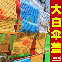 The big white umbrella covers the Buddhas mothers heart curse.