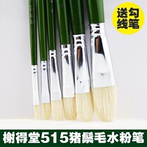 Sheed Hall 515 Suits Advanced Pig Mane Oil Paintbrush 826 Round Head Wolf Bawl Water Chalk Suit Single double Number 12