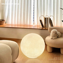 Standing atmosphere sense Lunar lights fall to the floor living room bedroom Inswind net red design sense light and luxury landing table lights