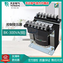 Tianzheng Electric BK-300VA full copper machine tool controller 380220110 380220110 36 24V 24V