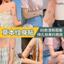 80 stickers herbal juice tattoo stickers semi-permanent stickers hipster female cute waterproof male simulation lasting non-reflective