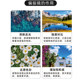 영화 방지 편광기 MRC CPL 37 39 40.5 43 46 49 52 55 58 62 67 72 77 95 82 82 86 95 105mm Canon 소니 카메라 편광 필터 영화 방지 편광기 MRC CPL 37 39 40.5 43 46 49 52 55 58 62 67 72 77 95 82 82 86 95 105mm Canon 소니 카메라 편광 필터