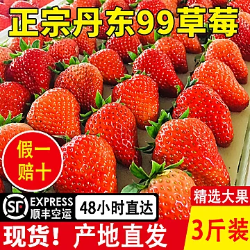 丹东新鲜奶油99大草莓1500g[45元优惠券]-寻折猪