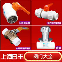 Rifeng PPR valve PPR double live ball valve inner wire ball valve All-plastic steel core double live ball valve 20 dark valve