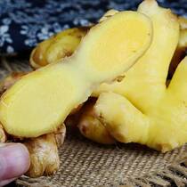 Shandong old yellow ginger fresh now dig old ginger mother farm vegetables moon ginger yellow ginger ginger ginger tender ginger ginger ginger