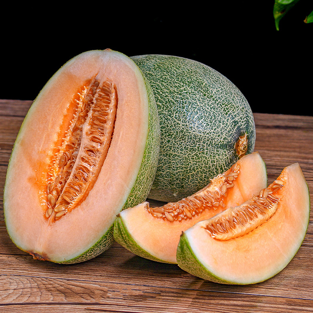 现摘西州蜜网纹哈密瓜晓蜜25号