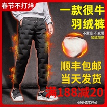 Down pants mens cold-proof minus 40 degrees 30 wear warm northeast thickened duck down pants outdoor youth plus size cotton pants