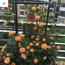 Balcony flower stand creative personality fashion Nordic style flower rack shelf balcony Nordic creative