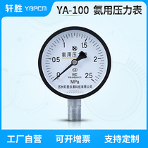 YA100 2 5MPa pipeline ammonia pressure gauge ammonia decomposer pressure gauge Suzhou Xuansheng