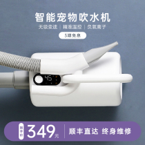 Xiaohongli intelligent pet water blower Dog hair dryer High power cat bath special hair drying artifact