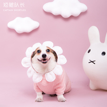Short-legged captain autumn and winter new pet flower clothes Dog hooded sweater cute pink warm cotton coat