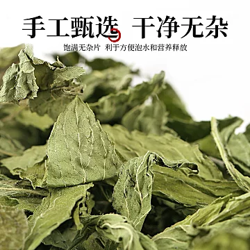 薄荷叶新鲜可食用干薄荷茶叶[3元优惠券]-寻折猪