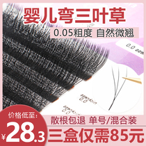 Mrs. Love 0 05 Baby Clover Graft Eyelash Baby Bend yy Eyelash Super Soft Y-type Mei Lam Shop Special