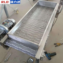 Chain plate conveyor 304 stainless steel assembly line luggage conveying fruit and vegetable cleaning processed food punching chain guillotine