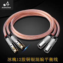 ATAUDIO Ice Fever Balance Line Copper Silver Mixed Code Mcmic Line XLR Canon Mother Audio Line