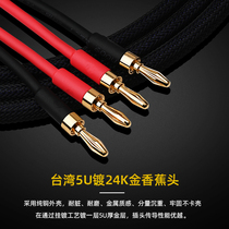 ATAUDIO Fever horn line pure brass band silver plated nerve line main speaker surround sound line connection special line