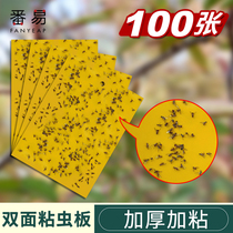 Gold coin exchange Double face anti-bug plate Yellow plate Stained Fly Worm Fruit Fly Greenhouse Flower Garden Needle Thistle Artichoke Trap