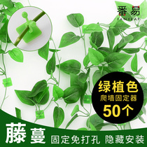 Green Lori Fixer Indoor Living Room Home Climbing Vine plant Climbing Rattan Hooks Snap clips No-mark Climbing Wall God