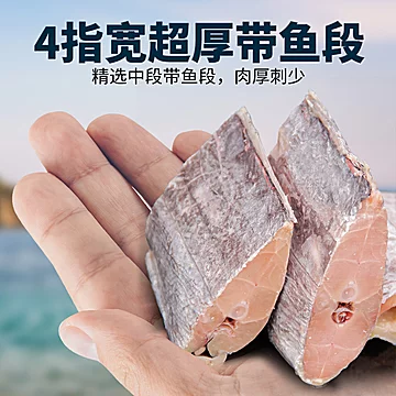【拍三件】新鲜冷冻精品中段带鱼1200g[38元优惠券]-寻折猪