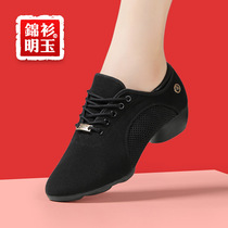 Female Latin Dance Shoes Practice Teachers Square Dance Dancing Water Soldiers Morden Oxford Buds Body Professional Soft Base Summer
