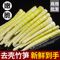 Ganyun bamboo shoots 6 kg wild fresh freshly dug bamboo shoots boiled non-ready-to-eat hot pot authentic Jiangxi specialty clear water bamboo shoots