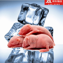 Kyung Dong Frozen Milk Rat Sterile Independent Packaging Snake Horn Frog Lizard Cat Grain Turtle Food Reptile Food Reptile Feed Cold Chain