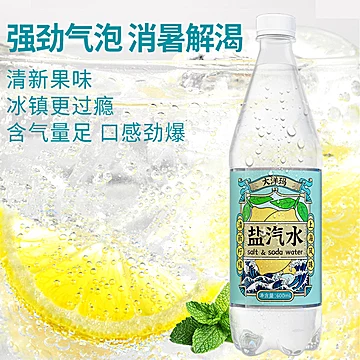 大洋玛上海风味盐汽水整箱24瓶600ml[10元优惠券]-寻折猪