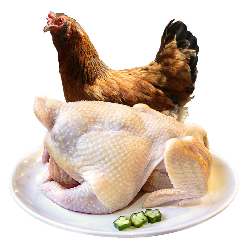 买1送1原品 密之清田土鸡老母鸡2斤散养日龄500天柴鸡煲汤极鲜