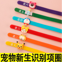 Newborn Pet Identify Collapse Birth Mark Rope Kitty Kitty Kitty Distinguish Identity Circle