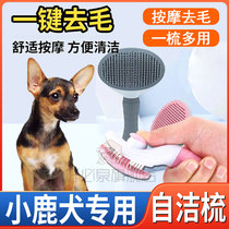 Special brush brush brush comb common dog comb to brush brush brush open needle comb