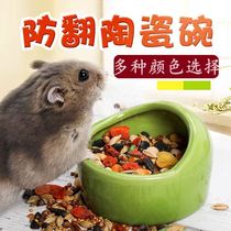 Golden bear bowl Hardcat dragon cat pot ceramic bowl small pet anti-flip anti-nibble sink pelvis feed box