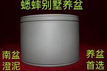 Cricket bowl Cricket pot Yuan Yongming won the Jin Basin Baisha mud basin Rail mouth basin South Basin Cheng Mud basin