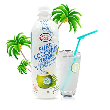 ICE COOL冰酷纯椰子水500ml*[5元优惠券]-寻折猪