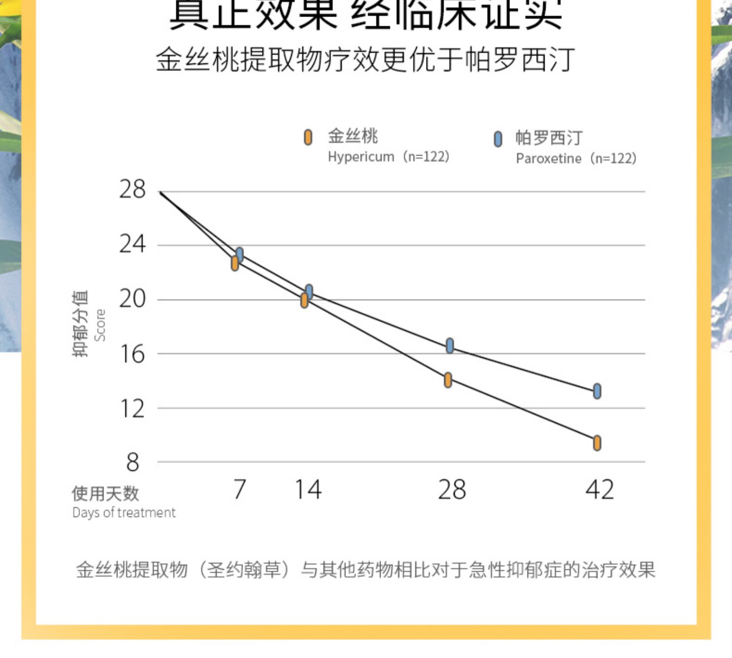 加拿大北维克缓解焦虑抵抗圣约翰草胶囊