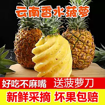 云南香水菠萝新鲜当季水果无眼树上熟3斤[10元优惠券]-寻折猪