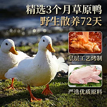 【汪世兴】即食脆皮烤鸭600g[25元优惠券]-寻折猪