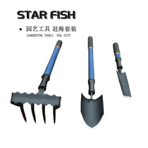 Small rake catches the beach with clam shell ocean oyster playing sandshovel gardening suit flower pine rake